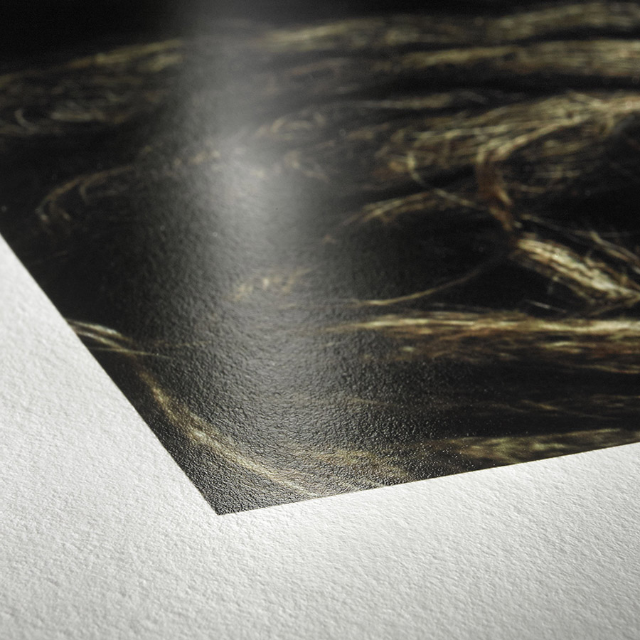 Hahnemühle Photo Rag Baryta — barytbelagt fine art-papper