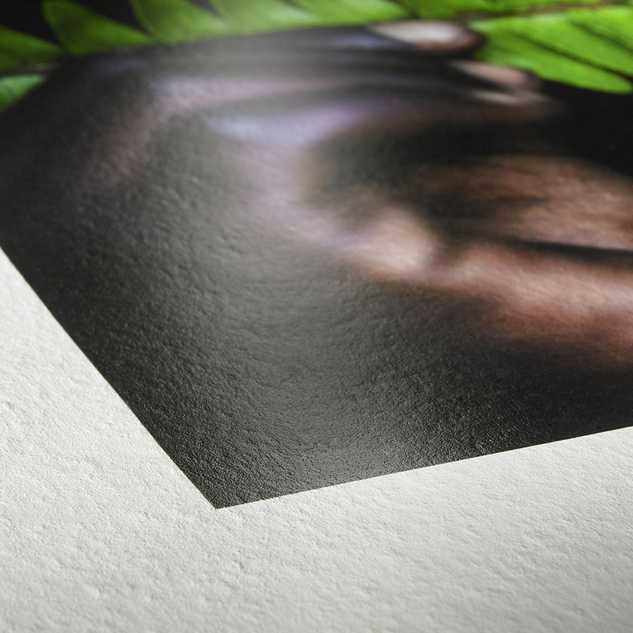 Hahnemühle Photo Rag Pearl — pärlskimrande fine art-papper