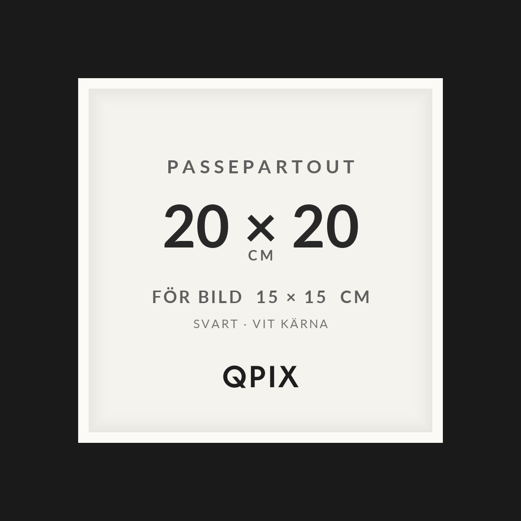 Passepartout Svart/Vit 20×20