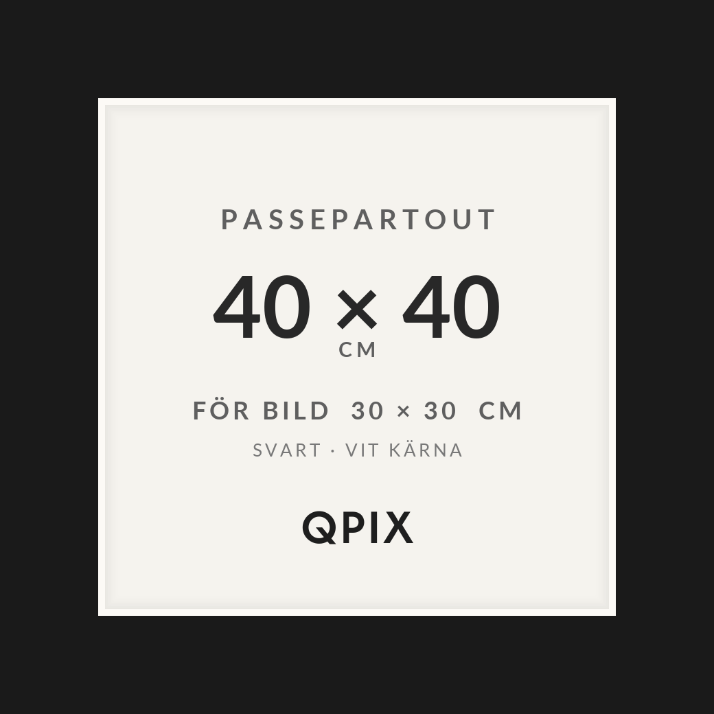Passepartout Svart/Vit 40×40