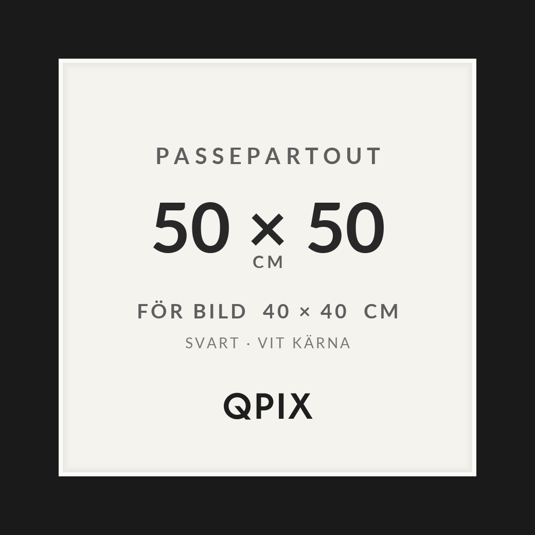 Passepartout Svart/Vit 50×50