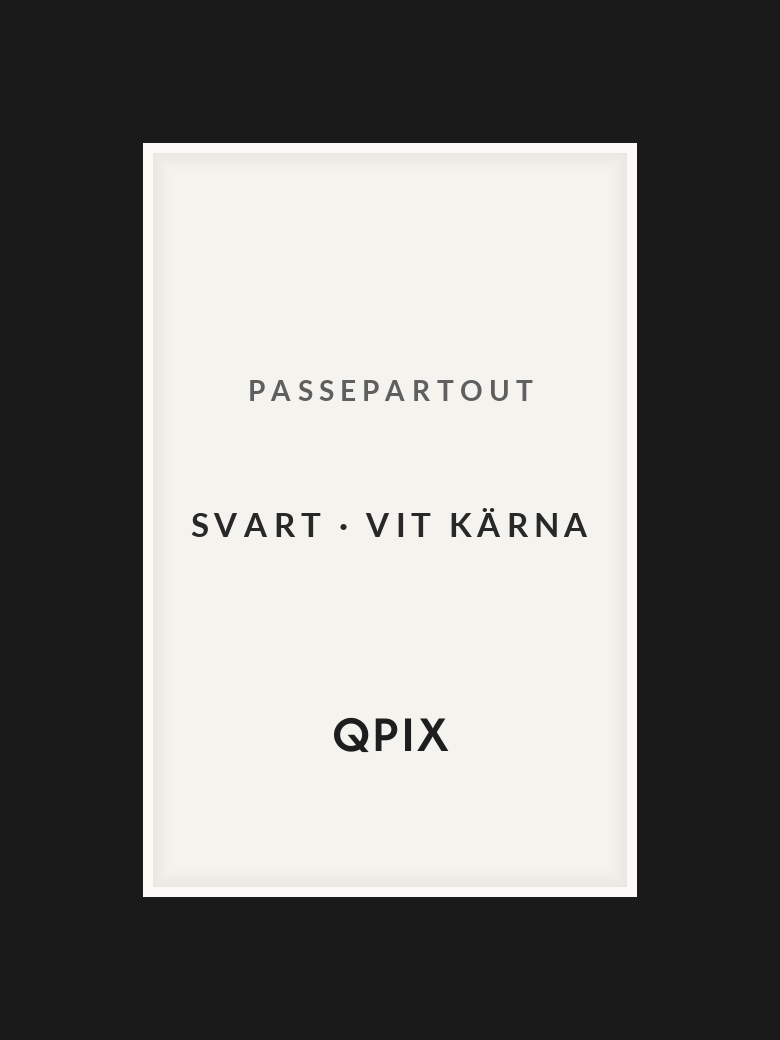 Passepartout