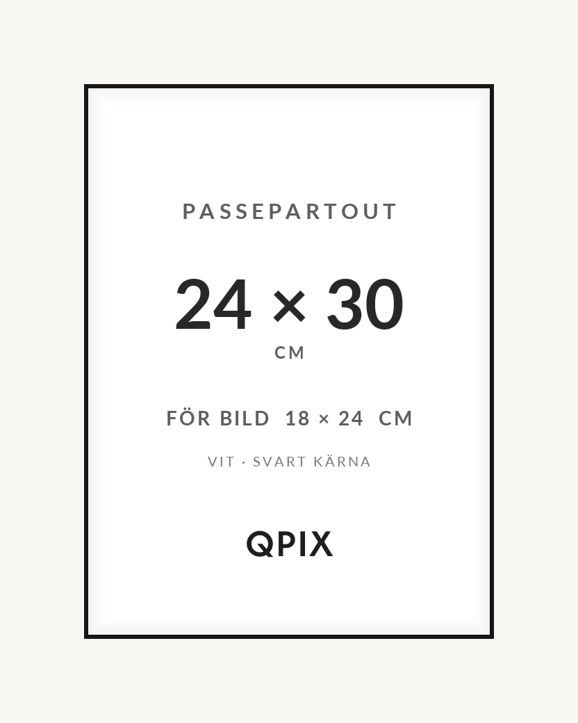 Passepartout Vit/Svart 24×30