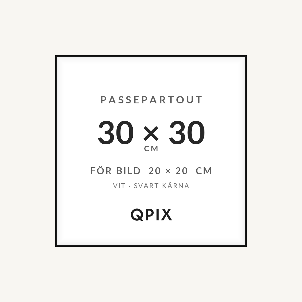 Passepartout Vit/Svart 30×30