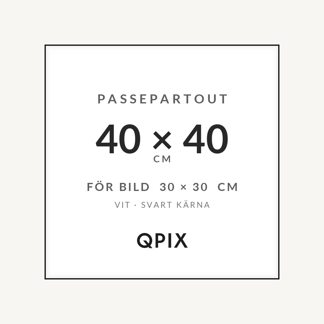 Passepartout Vit/Svart 40×40