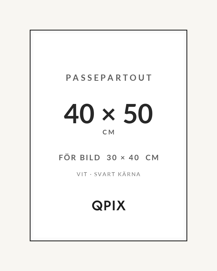 Passepartout Vit/Svart 40×50