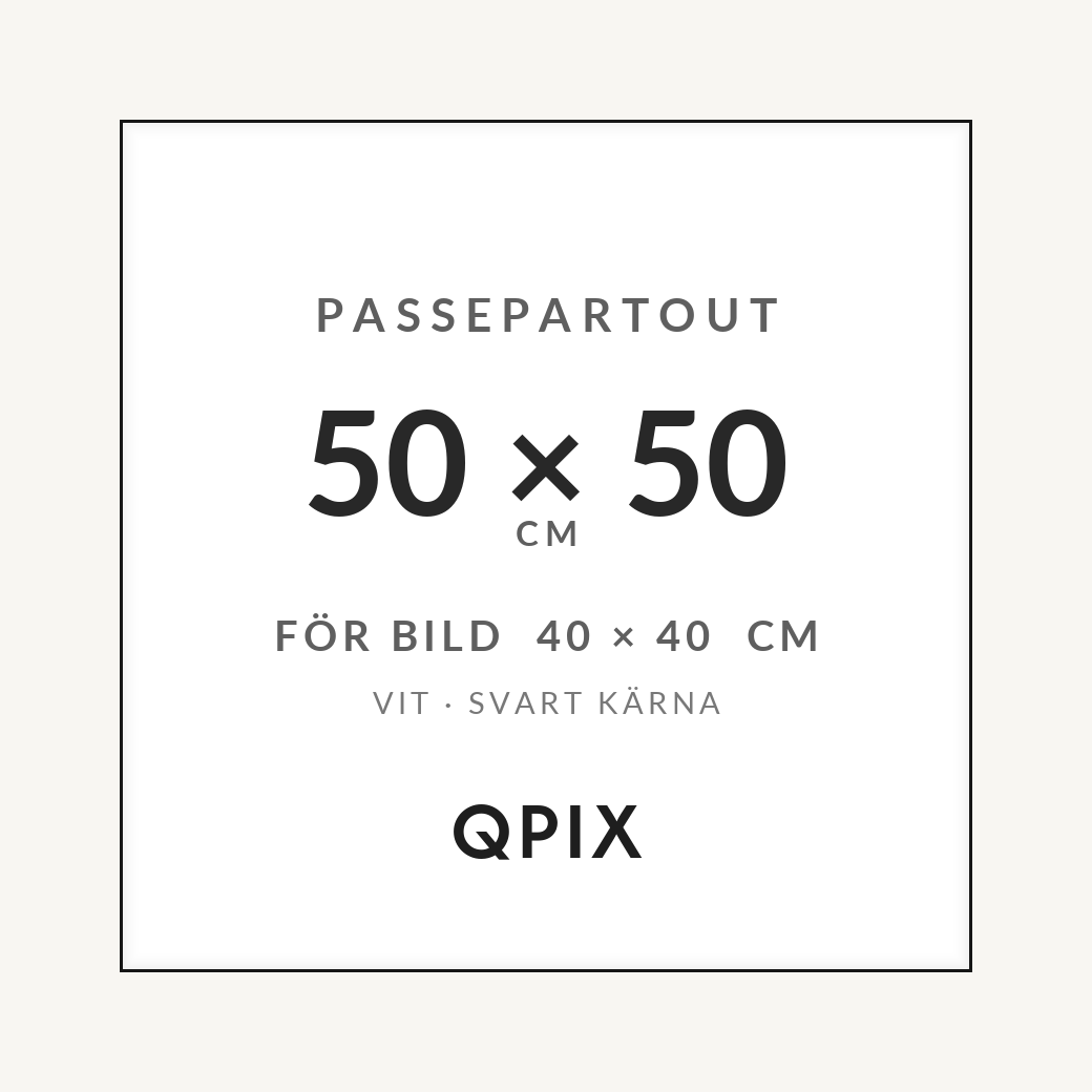 Passepartout Vit/Svart 50×50