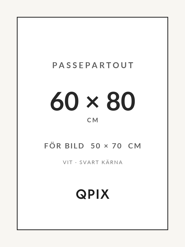 Passepartout Vit/Svart 60×80