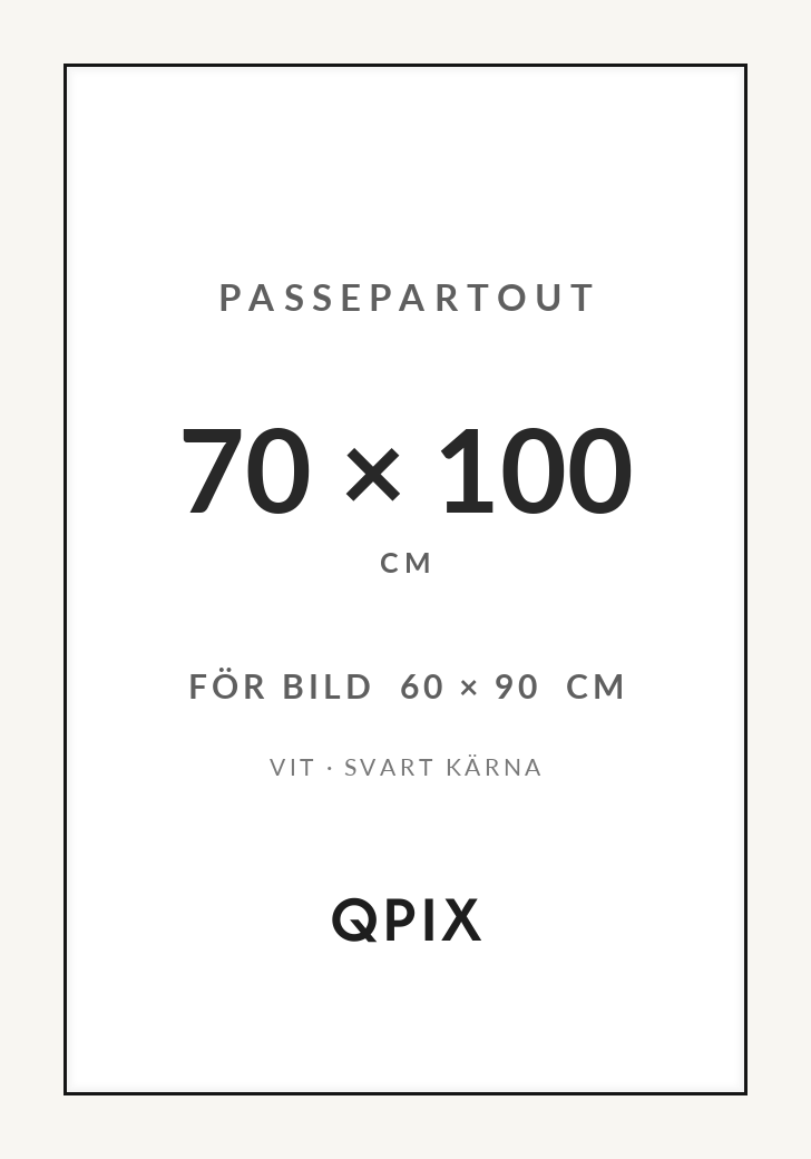 Passepartout Vit/Svart 70×100