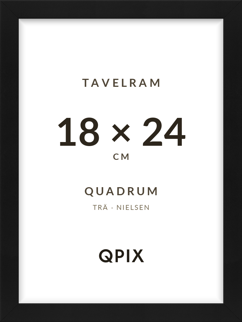 Quadrum Svart 18×24