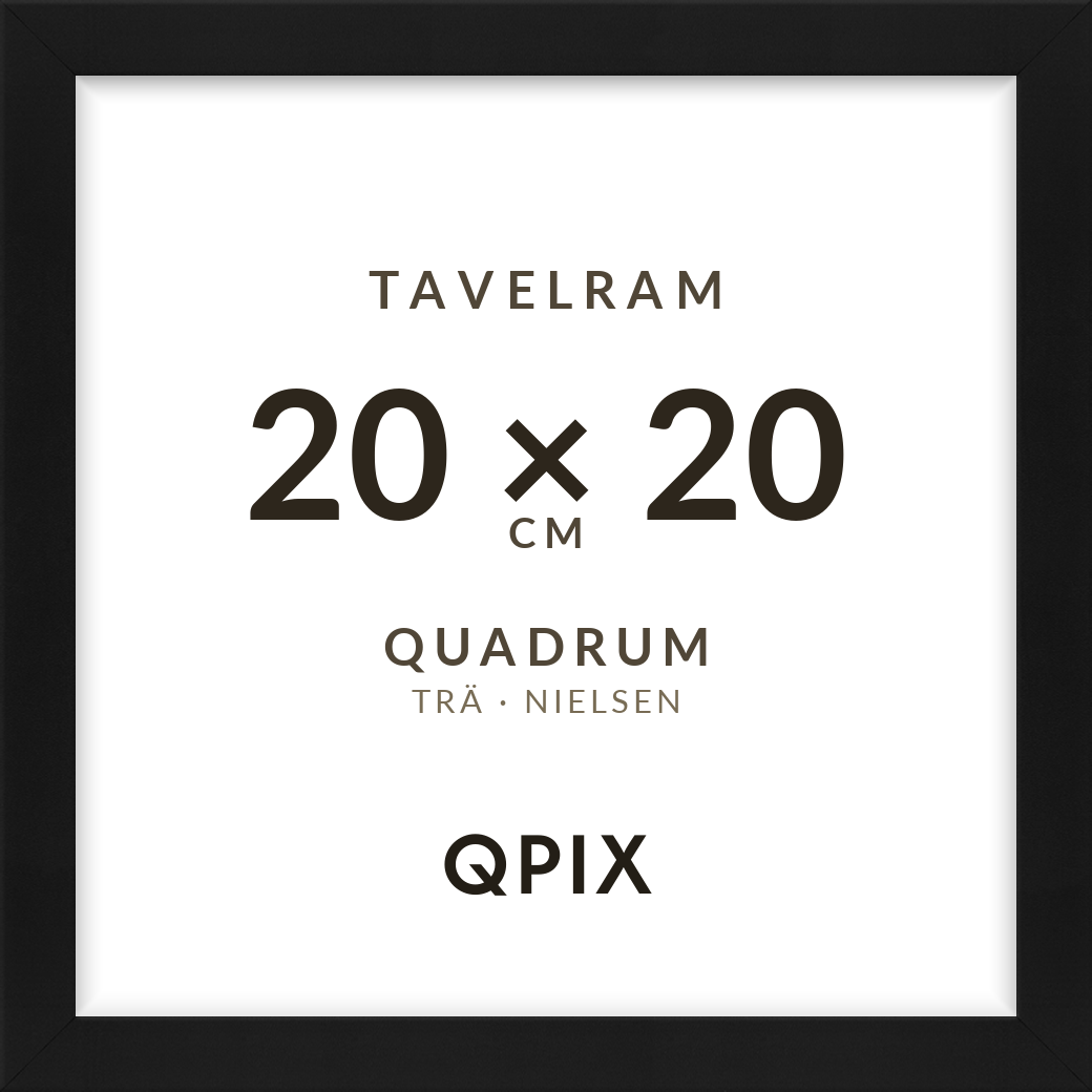 Quadrum Svart 20×20