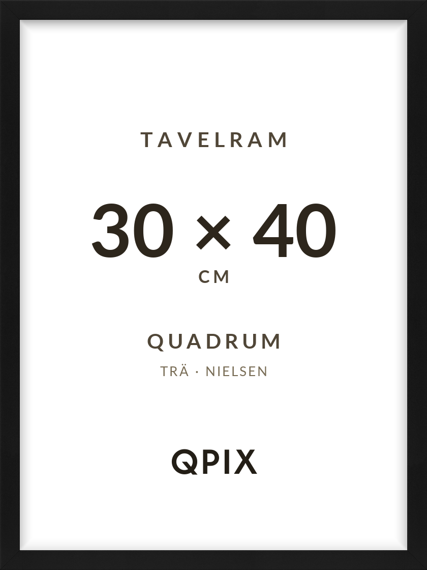 Quadrum Svart 30×40
