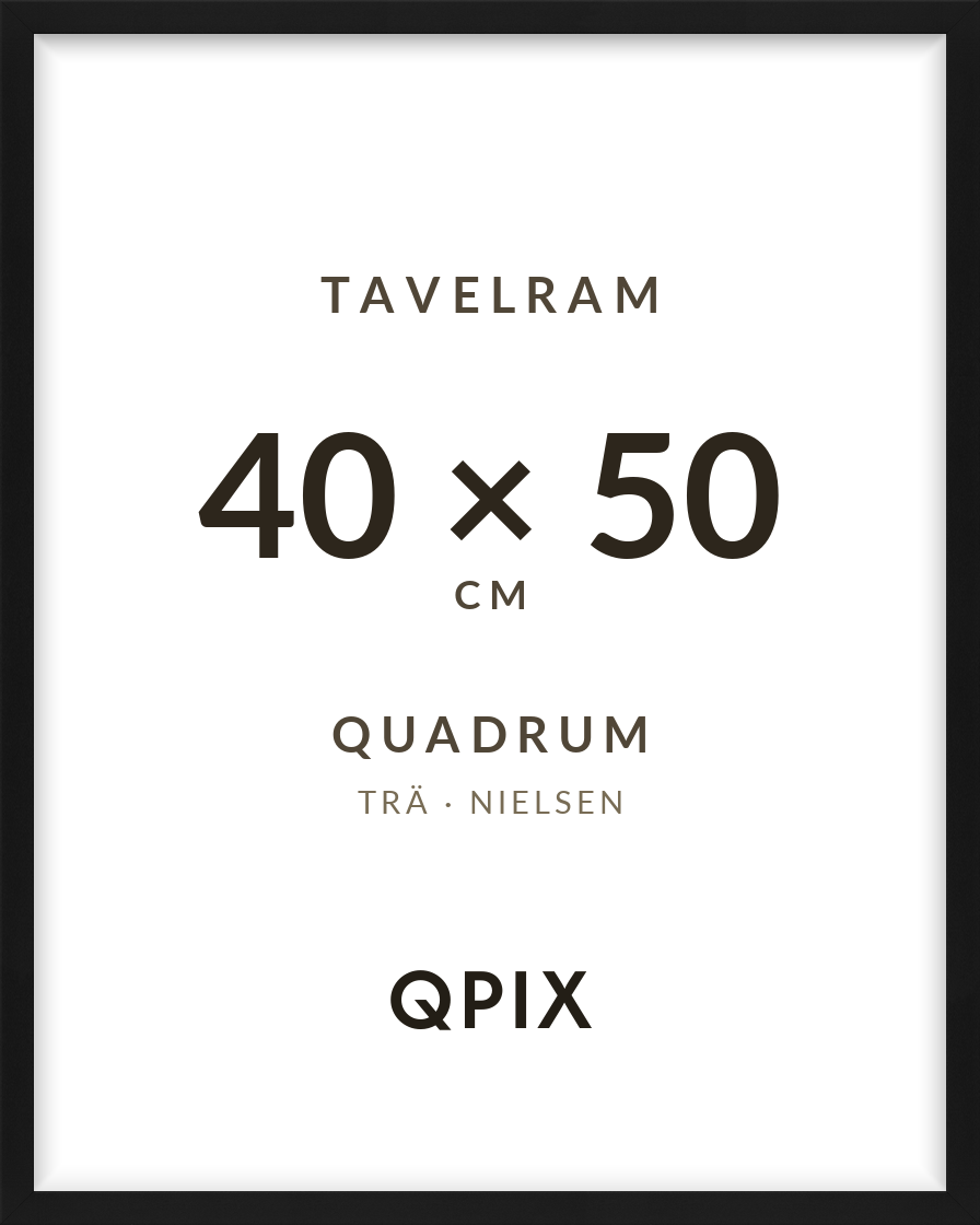 Quadrum Svart 40×50