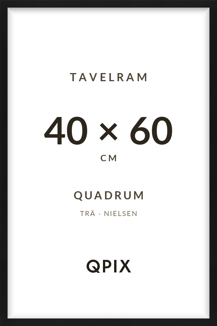 Quadrum Svart 40×60