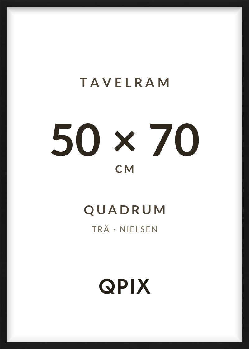 Quadrum Svart 50×70