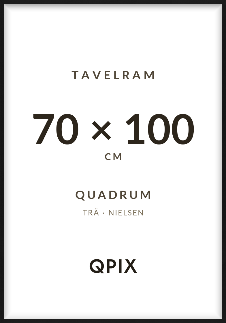 Quadrum Svart 70×100
